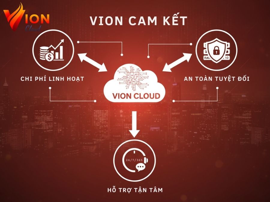 Lời cam kết từ VION về chi phí linh hoạt, an toàn và hỗ trợ 24/7/365